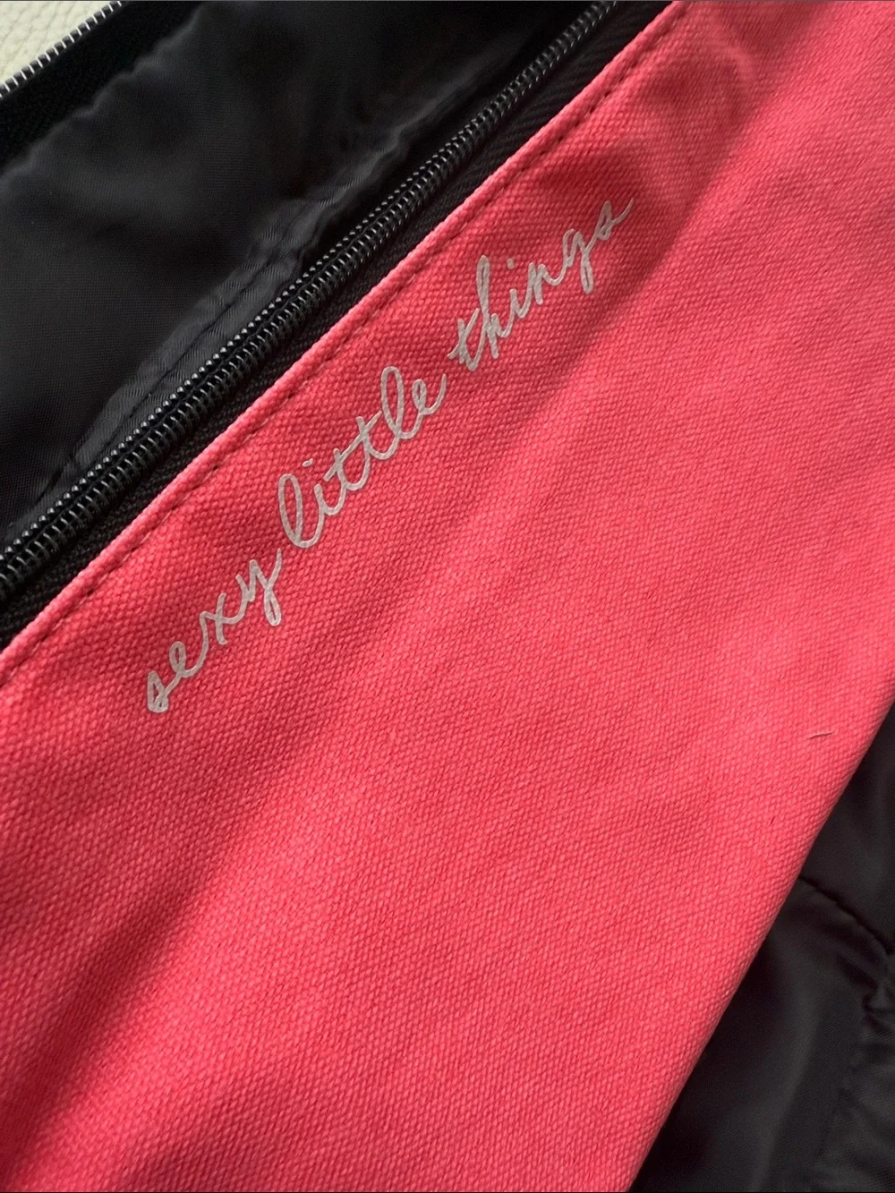 Victoria's Secret Sexy Little Things Striped‎ Canvas Organizer Bag - Picture 11 of 15